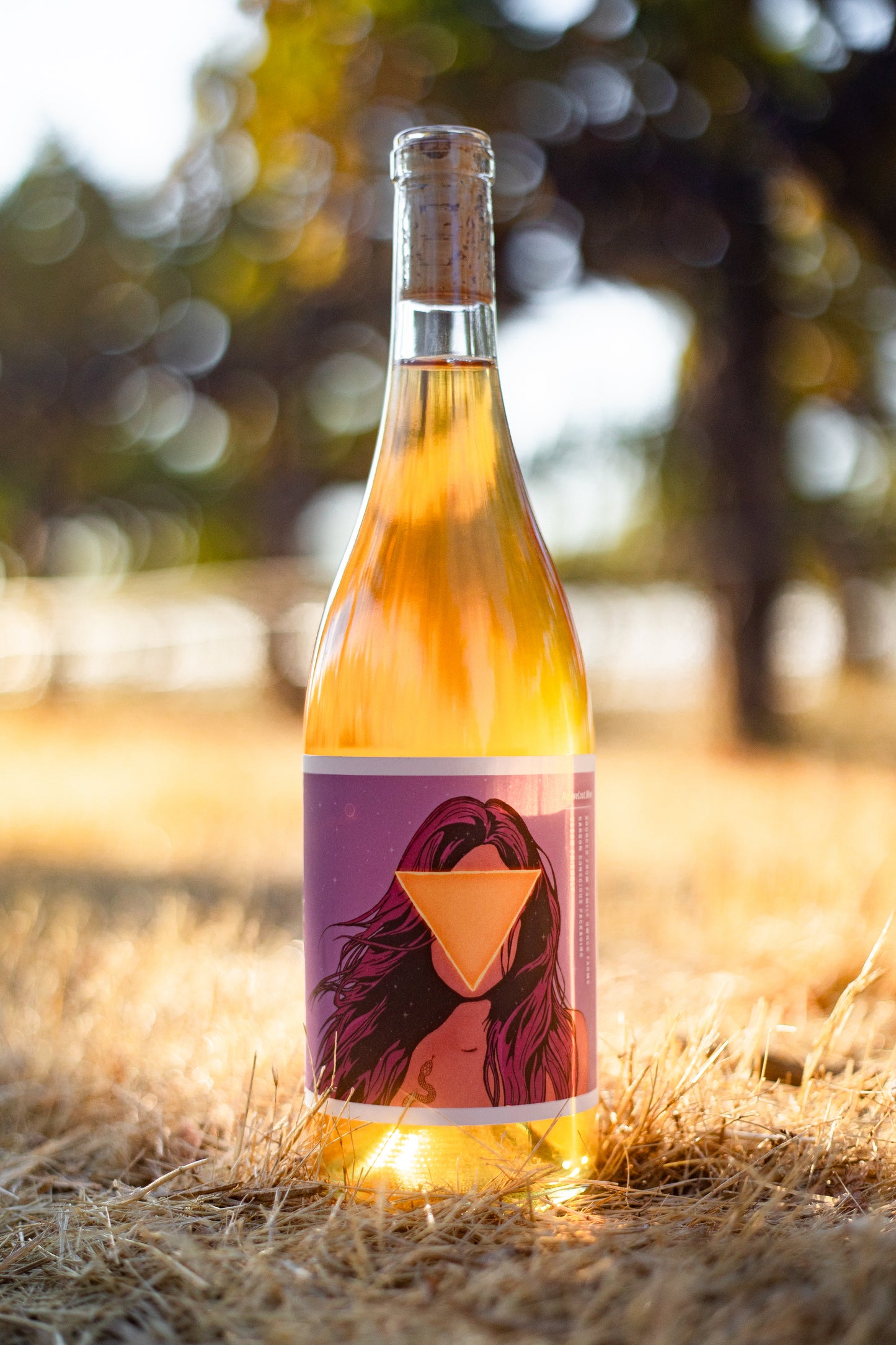 2023 No Love Lost Orange Picpoul — organic, family-owned vineyard in Lodi AVA. Skin-contact white wine with dried herbs, matchstick, golden oats, honey, citrus, and orange blossom notes. High acidity, fermented with 100% stem and skin inclusion, aged 11 months in neutral Burgundy barrels. 10.8% ABV.