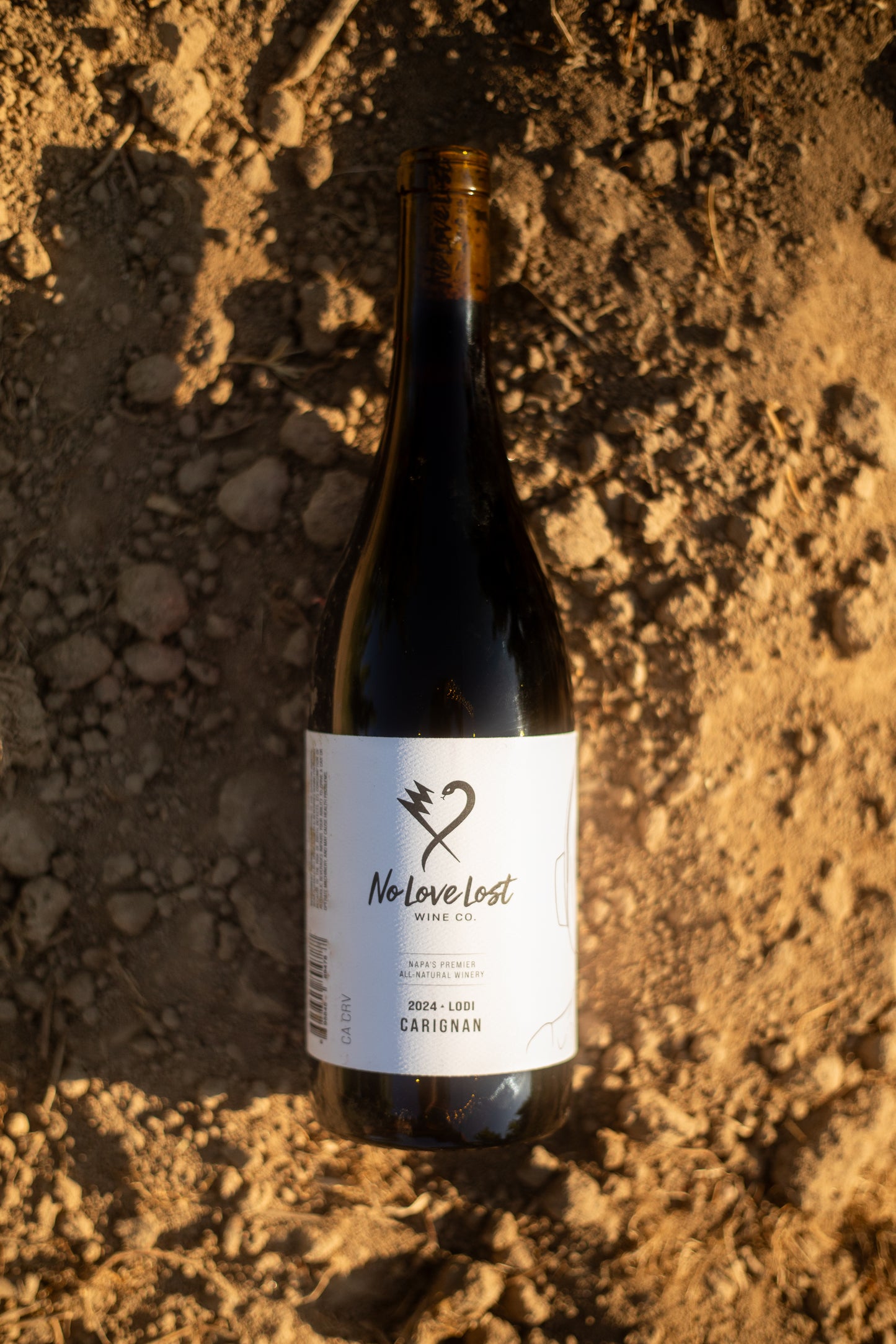 2024 No Love Lost Carignan — old-vine wine from a historic 1906 vineyard in west Lodi. Fresh dark fruit with savory bay leaf and sage, crafted with carbonic maceration and aged in neutral French oak. Earthy yet lively, drink now or cellar up to 15 years. 12.1% ABV.