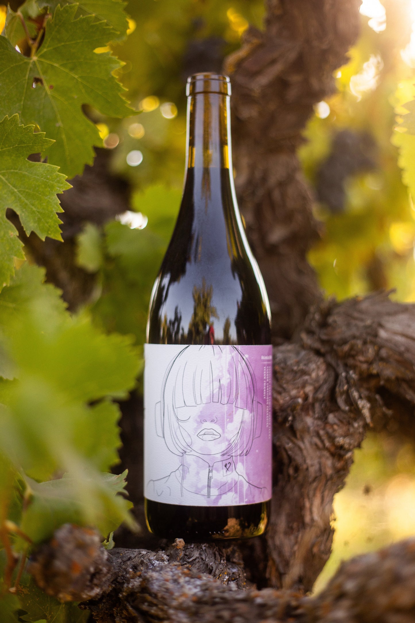 2024 No Love Lost Carignan — old-vine wine from a historic 1906 vineyard in west Lodi. Fresh dark fruit with savory bay leaf and sage, crafted with carbonic maceration and aged in neutral French oak. Earthy yet lively, drink now or cellar up to 15 years. 12.1% ABV.