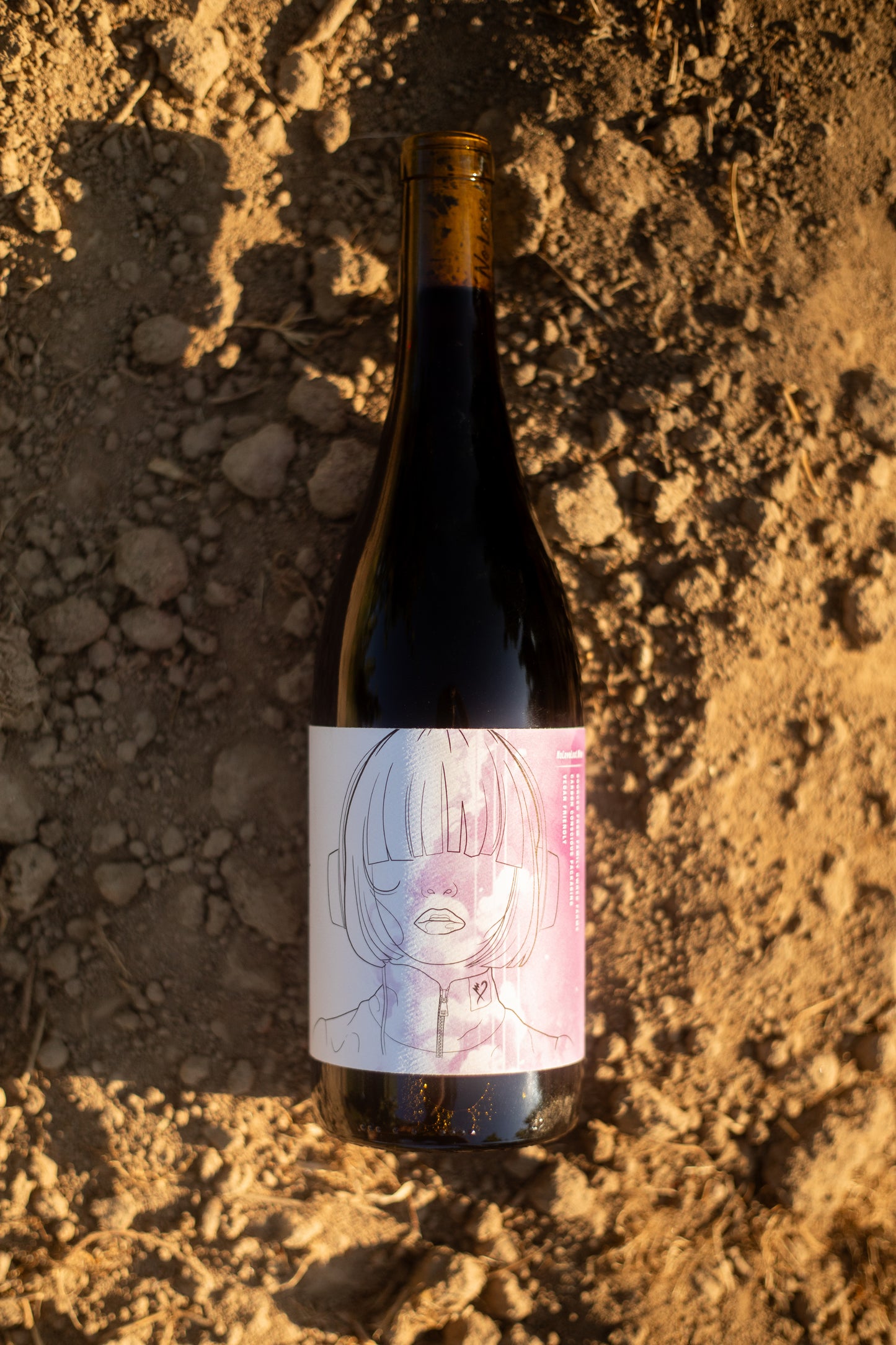 2024 No Love Lost Carignan — old-vine wine from a historic 1906 vineyard in west Lodi. Fresh dark fruit with savory bay leaf and sage, crafted with carbonic maceration and aged in neutral French oak. Earthy yet lively, drink now or cellar up to 15 years. 12.1% ABV.