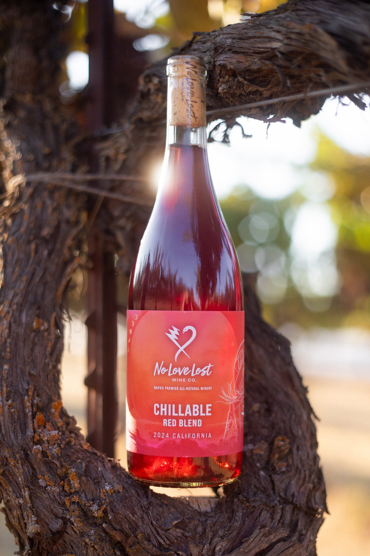 2024 No Love Lost Chillable Red β old-school California field blend of Grenache, Counoise, Mencia, and Carignan. Bright and versatile with flavors of cherry, pomegranate, and rhubarb, plus subtle toasty spice. Refreshing when chilled, smooth and spiced at room temp. 11.6% ABV.
