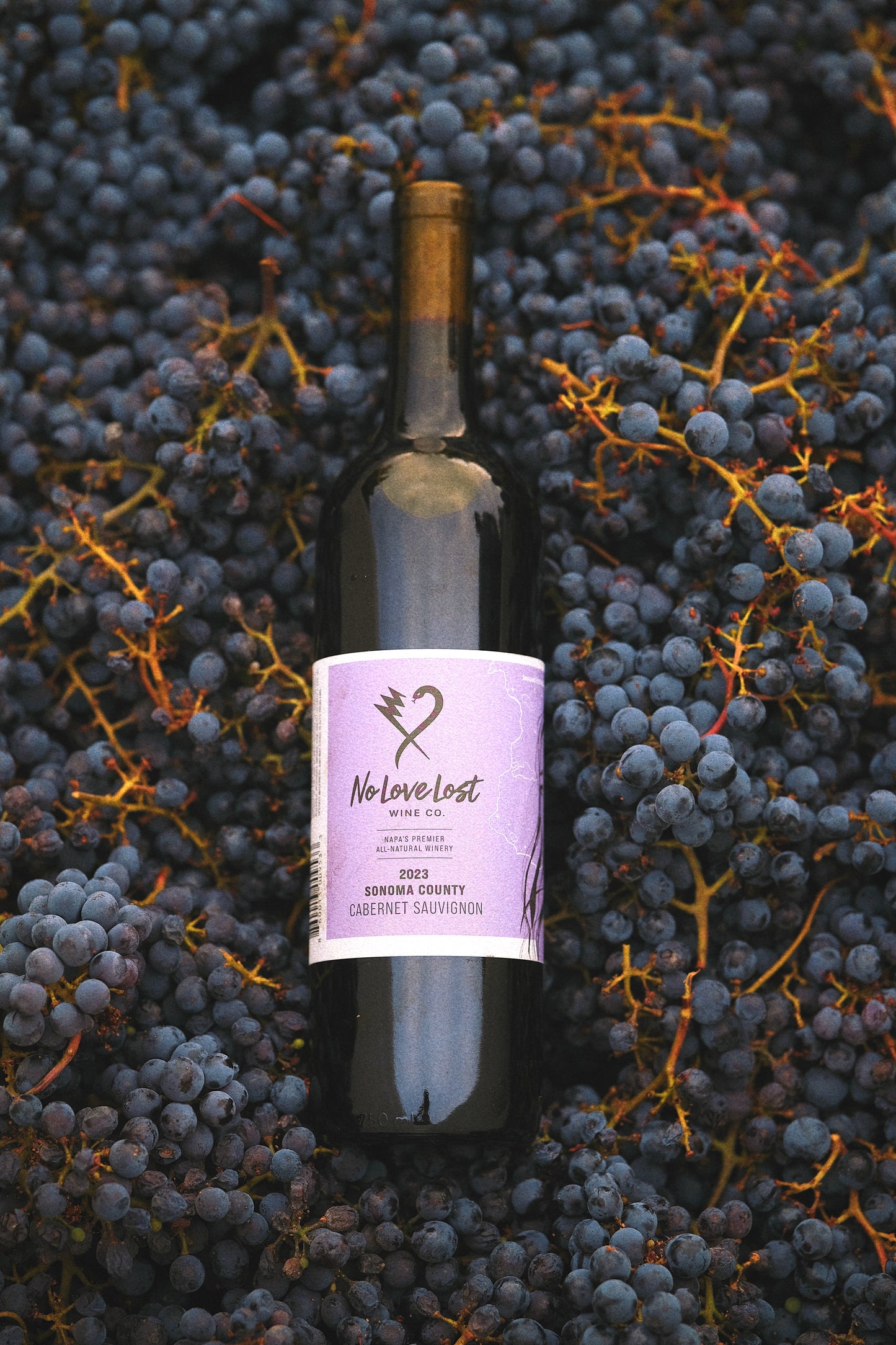 2023 Sonoma Cabernet Sauvignon