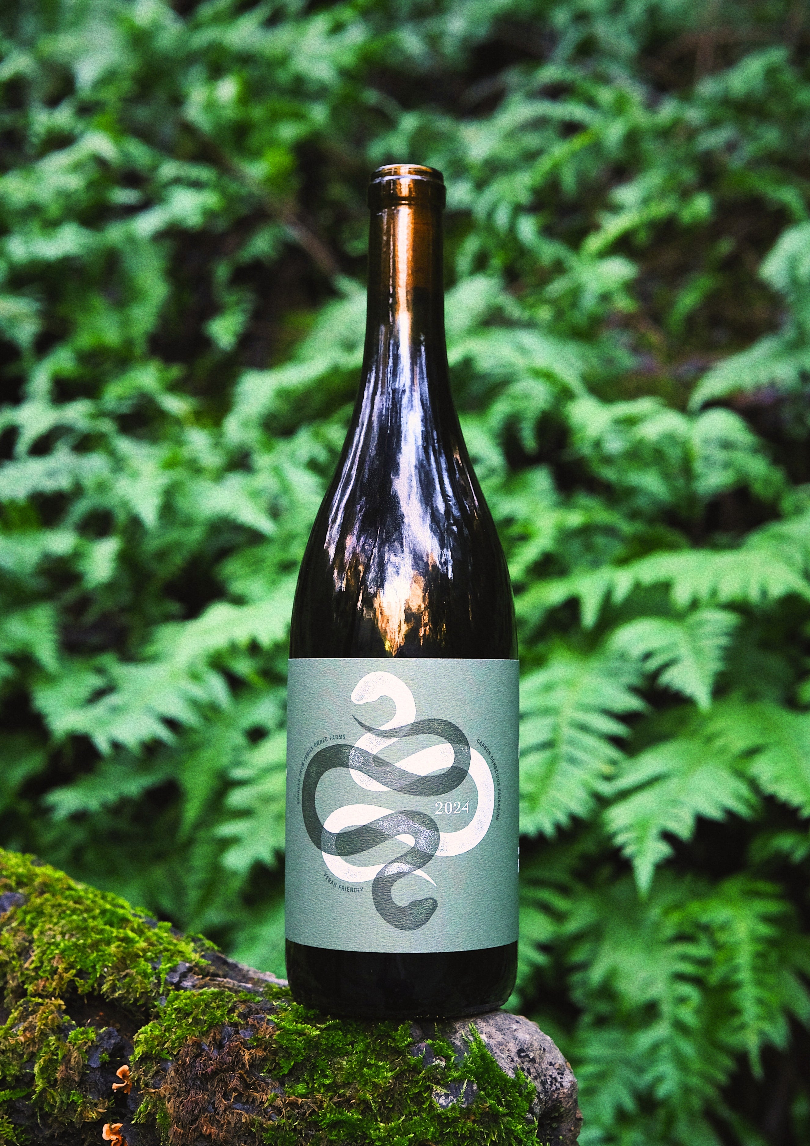 2024 Russian River Valley Pinot Noir – No Love Lost Wine Co.