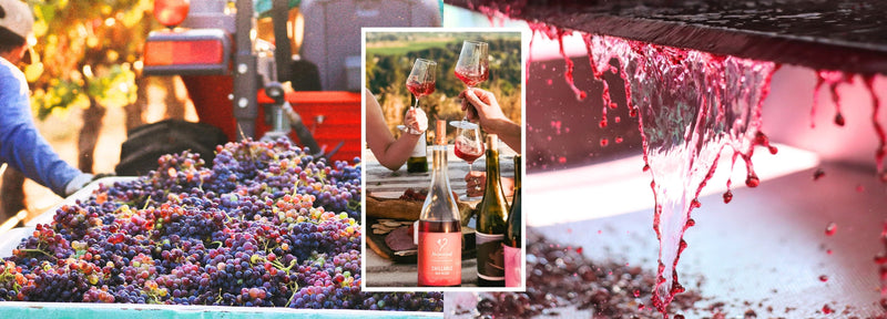 Chill the Fuck Out: Wine Is Supposed to Change