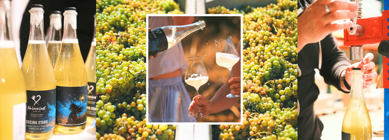The Best Wine I Never Meant to Make