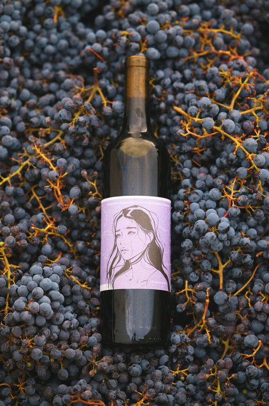 2023 Sonoma Cabernet Sauvignon