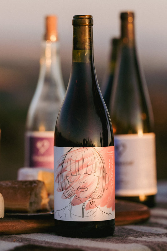 2023 No Love Lost Sonoma Grenache — Carneros vineyard, medium-bodied red with aromas of ripe strawberry, raspberry, spice, and pepper. Flavors of red cherry, pomegranate, and subtle herbs with soft tannins and a long finish. Perfect with roasted meats, grilled vegetables, or cheese. 12.4% ABV.
