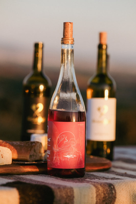 2024 No Love Lost Chillable Red — old-school California field blend of Grenache, Counoise, Mencia, and Carignan. Bright and versatile with flavors of cherry, pomegranate, and rhubarb, plus subtle toasty spice. Refreshing when chilled, smooth and spiced at room temp. 11.6% ABV.