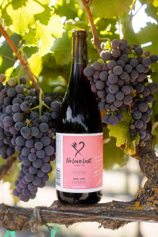 2024 No Love Lost Counoise — organic Lodi vineyard by the Claypool family. Juicy, approachable red with ripe strawberry, watermelon, and toasty notes. Made with carbonic maceration, aged in neutral Burgundy oak. Enjoy chilled as a poolside sipper or at cellar temp with food. 11.6% ABV.