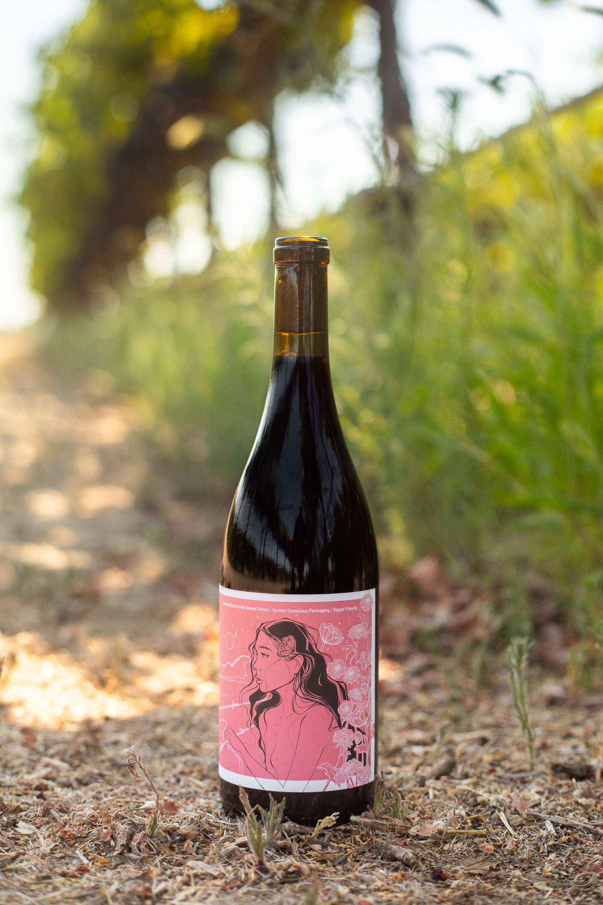 2024 No Love Lost Counoise — organic Lodi vineyard by the Claypool family. Juicy, approachable red with ripe strawberry, watermelon, and toasty notes. Made with carbonic maceration, aged in neutral Burgundy oak. Enjoy chilled as a poolside sipper or at cellar temp with food. 11.6% ABV.