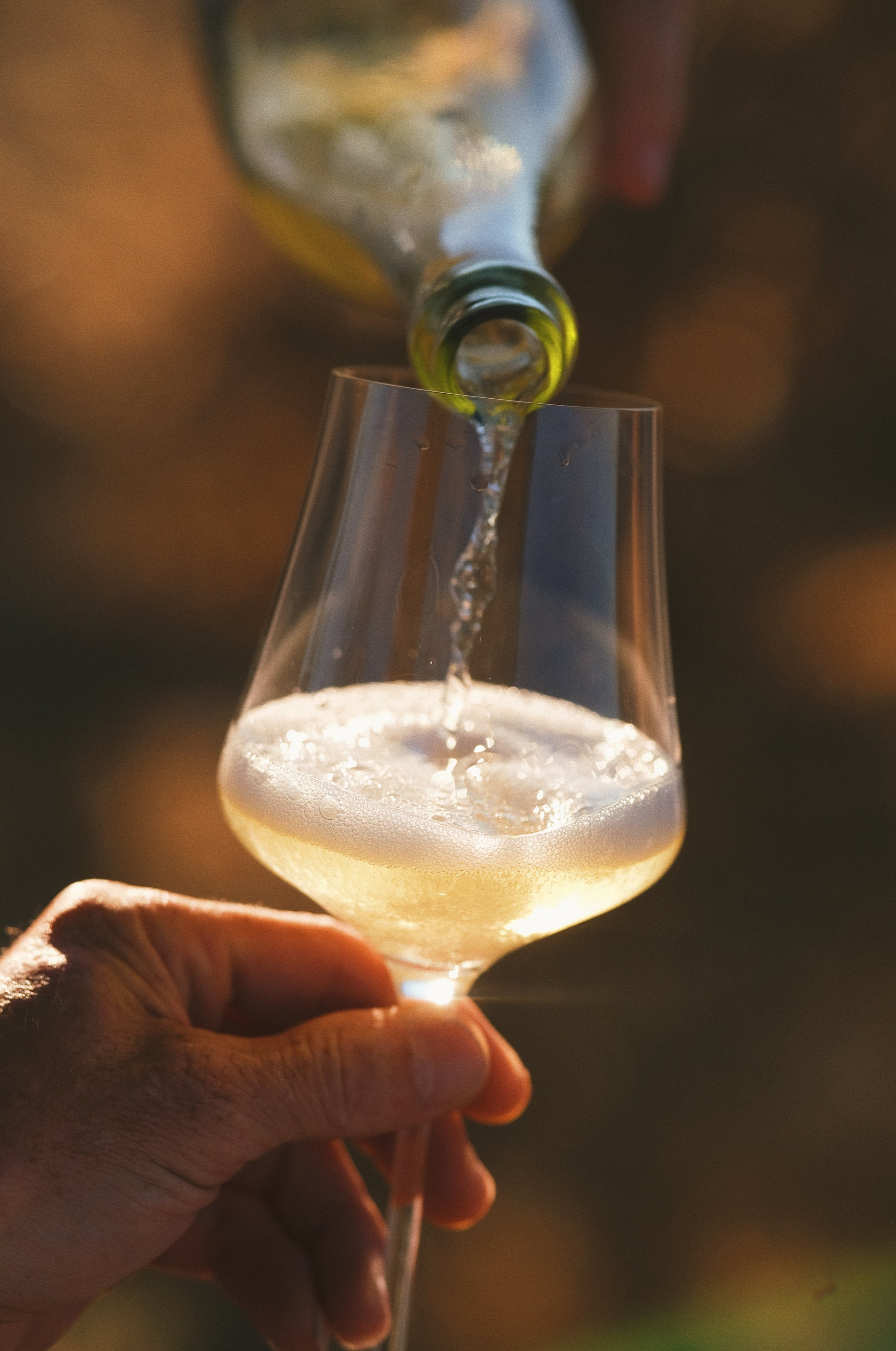 2024 No Love Lost Sparkling Riesling — Dry Creek Valley AVA, Sonoma County. East-facing vineyard above the fog line with blue slate soils and cool Pacific influence. Brioche, stone fruit, pineapple, and petrol notes with lively effervescence. Versatile natural sparkling wine, pairs with salads, ribeye, or desserts. 11.9% ABV.