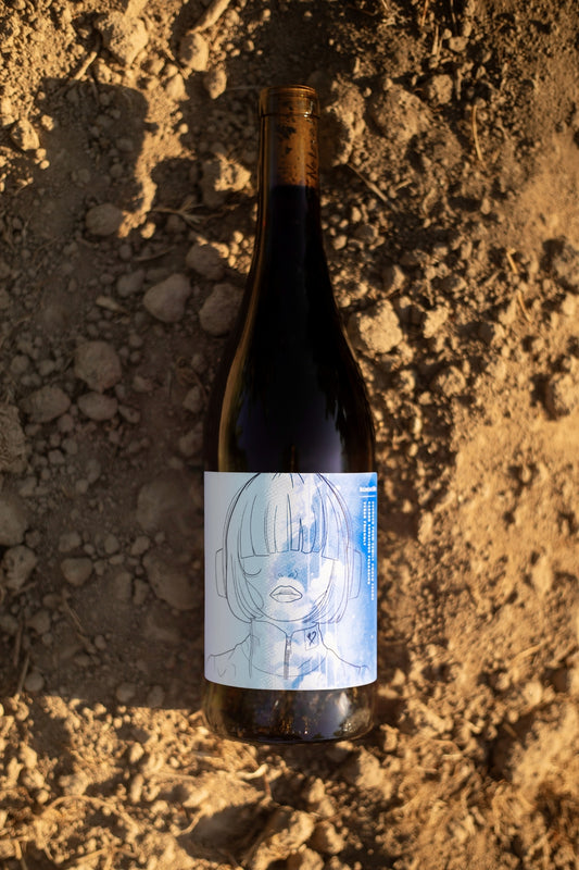 2024 No Love Lost Sonoma Zinfandel — head-trained vines from Alexander Valley’s Geyser Vista, hand-farmed and made with semi-carbonic maceration. Bold layers of fresh berries, herbs, dried fruit, and tapenade with a touch of petrol. Distinctive, dramatic natural Zinfandel at 13.6% ABV.