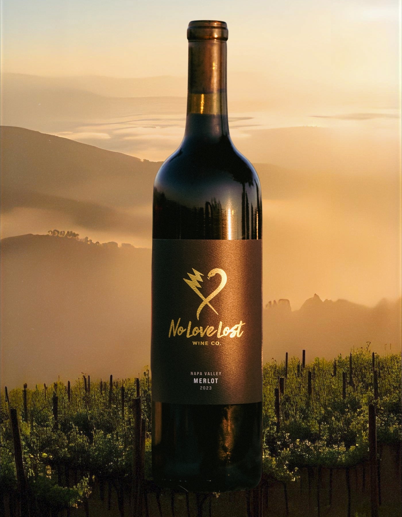 2023 Napa Valley Merlot