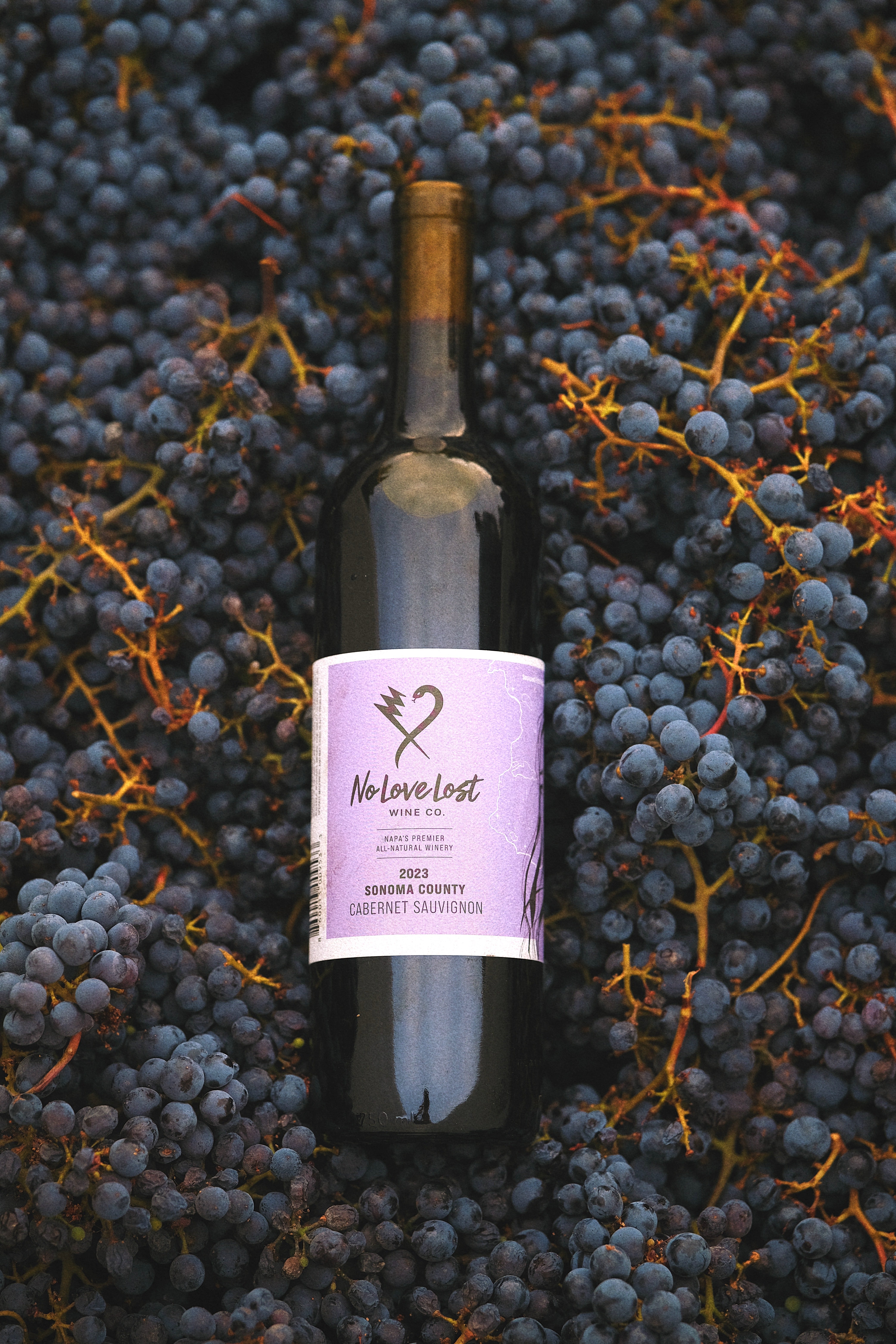 wineloveco 2023 Sonoma Cabernet Sauvignon – No Love Lost Wine Co.