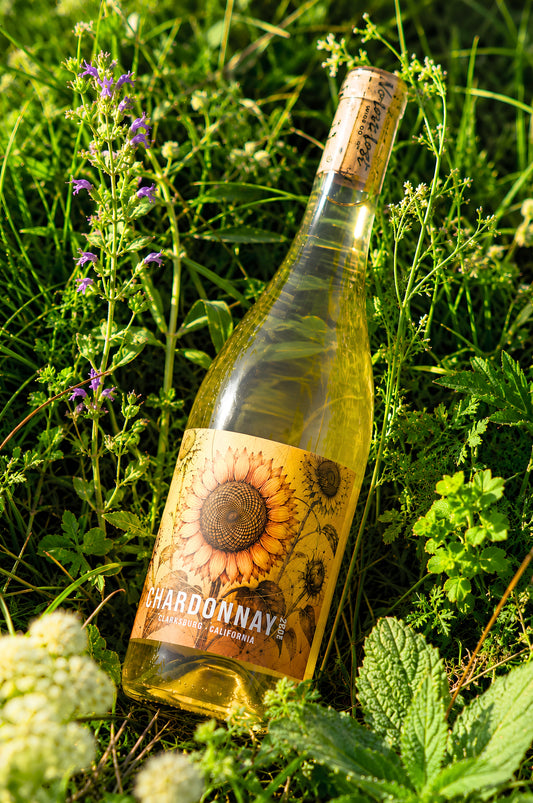 2024 Clarksburg Chardonnay